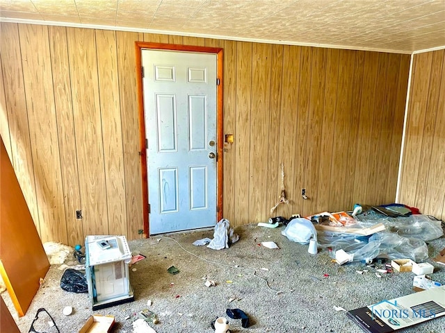 interior space with wooden walls