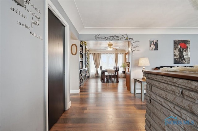 hallway featuring dark wood-type flooring