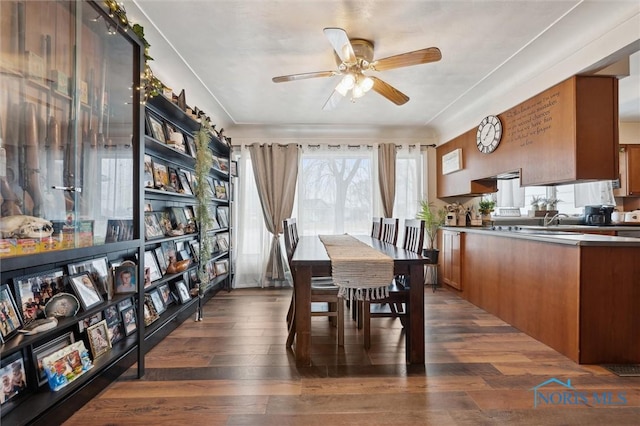 dining room featuring dark hardwood / wood-style floors and ceiling fan