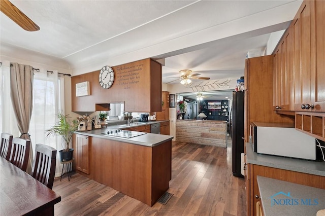 kitchen with hardwood / wood-style floors, fridge, ceiling fan, kitchen peninsula, and black electric cooktop