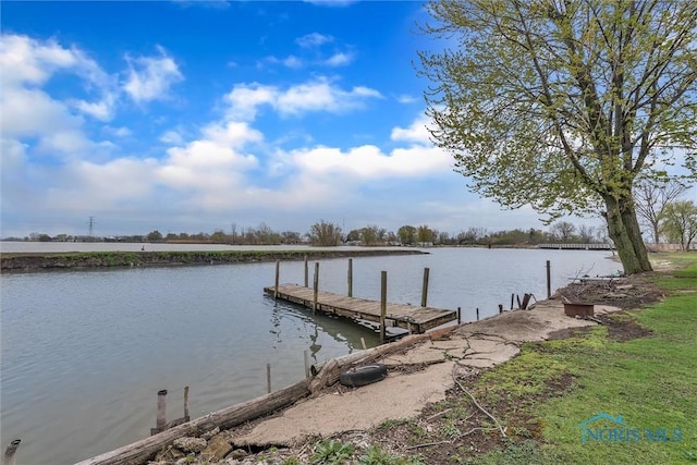 dock area featuring a water view