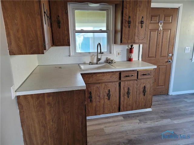 kitchen featuring sink and dark wood-type flooring