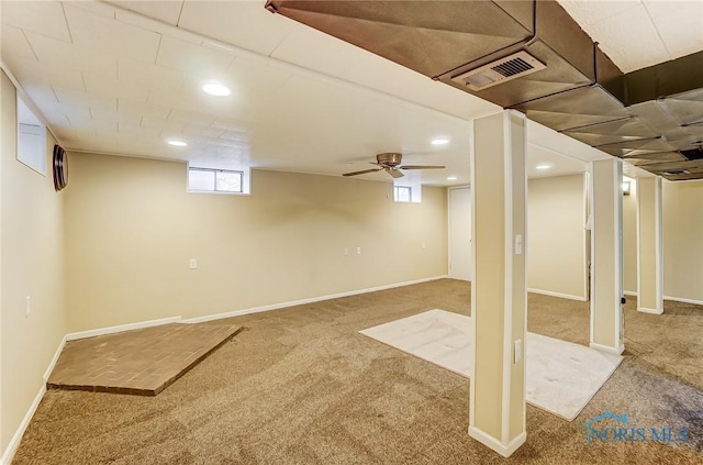 basement featuring carpet floors