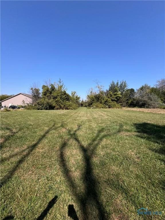 view of yard with a rural view