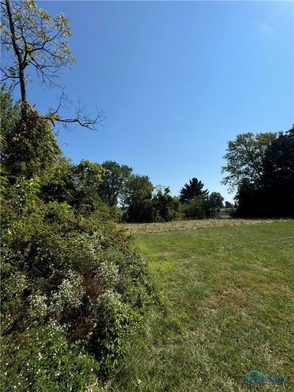 view of local wilderness featuring a rural view