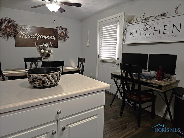 interior space featuring ceiling fan and dark hardwood / wood-style floors