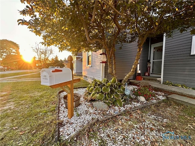 view of yard at dusk