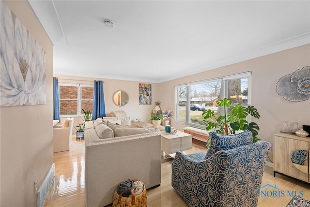 living room with crown molding and light wood-type flooring