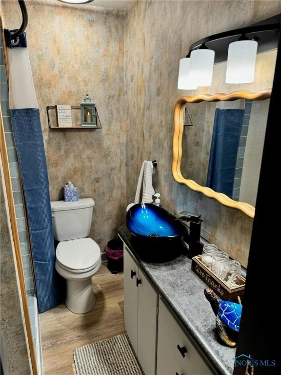 bathroom with vanity, toilet, and wood-type flooring