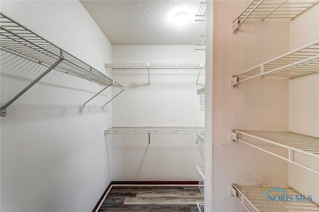 walk in closet featuring hardwood / wood-style flooring