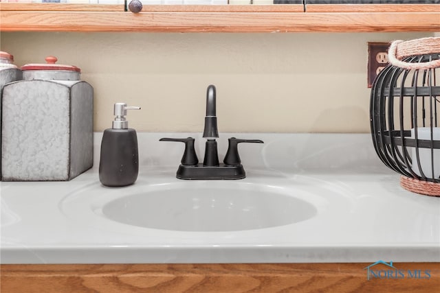 interior details featuring sink