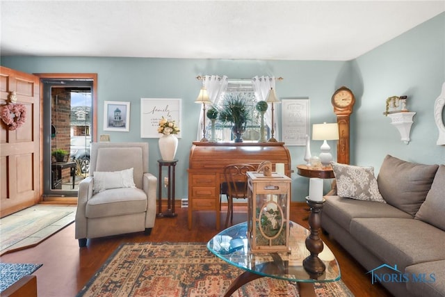 living room featuring dark hardwood / wood-style floors