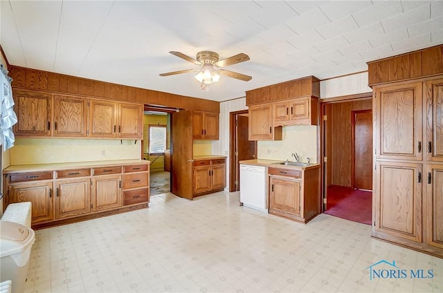 kitchen with sink, dishwasher, and ceiling fan