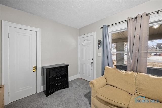 sitting room with carpet flooring and a textured ceiling