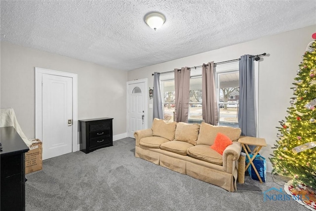 carpeted living room with a textured ceiling