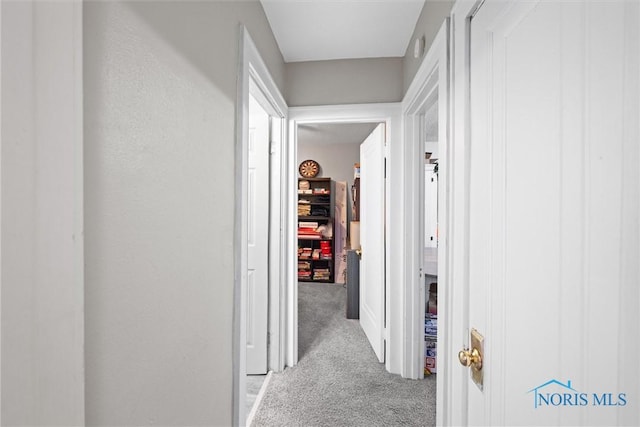 hallway featuring light carpet