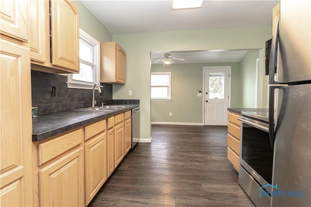 kitchen featuring tasteful backsplash, sink, stainless steel appliances, a healthy amount of sunlight, and light brown cabinets