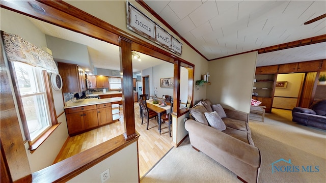 living room featuring crown molding, a wealth of natural light, and light wood-type flooring