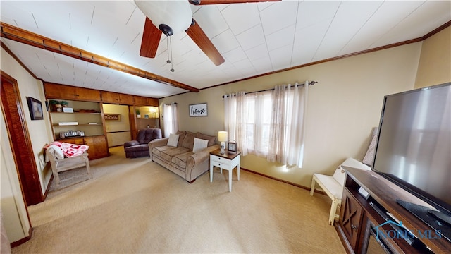 carpeted living room with ceiling fan and ornamental molding