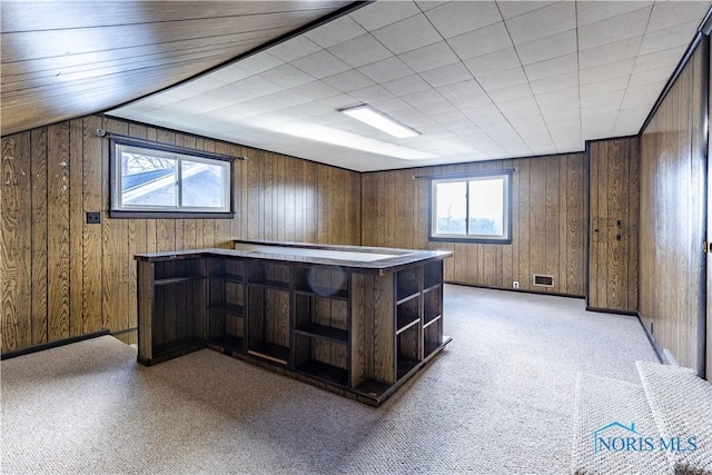 bar with dark brown cabinetry, wooden walls, and light carpet