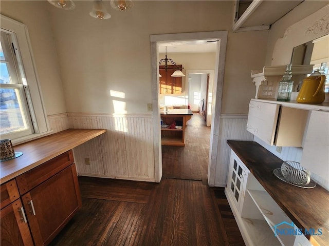 kitchen with butcher block counters and dark hardwood / wood-style floors