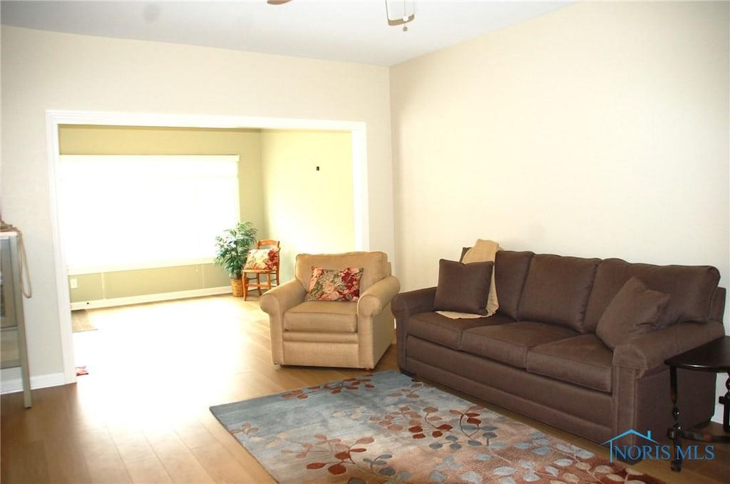 living room featuring ceiling fan and light wood-type flooring