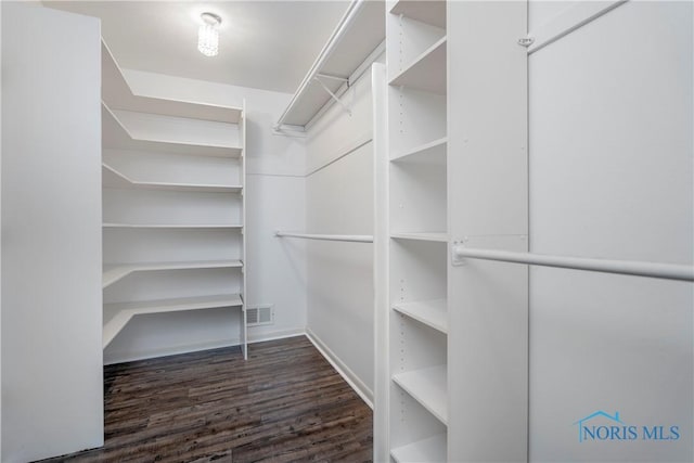 walk in closet with dark wood-type flooring