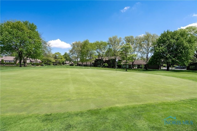 29620 Gleneagles Rd Unit C, Perrysburg, OH 43551 - view of community featuring golf course view and a lawn