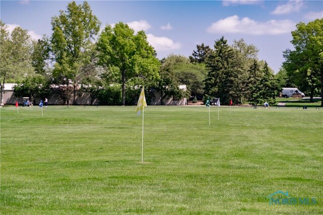 29620 Gleneagles Rd Unit C, Perrysburg, OH 43551 - view of community featuring a lawn