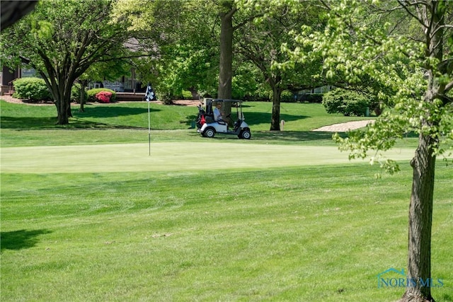 29620 Gleneagles Rd Unit C, Perrysburg, OH 43551 - surrounding community featuring a yard and view of golf course