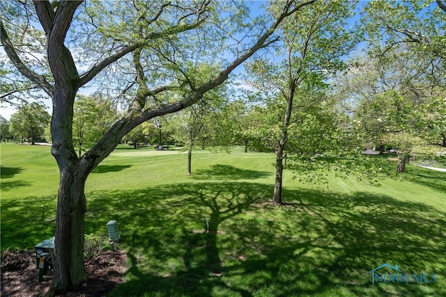 29620 Gleneagles Rd Unit C, Perrysburg, OH 43551 - surrounding community with a yard