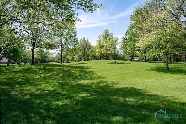 29620 Gleneagles Rd Unit C, Perrysburg, OH 43551 - view of community featuring a lawn and view of scattered trees