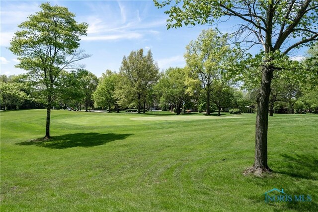 29620 Gleneagles Rd Unit C, Perrysburg, OH 43551 - view of home's community with a lawn and view of scattered trees