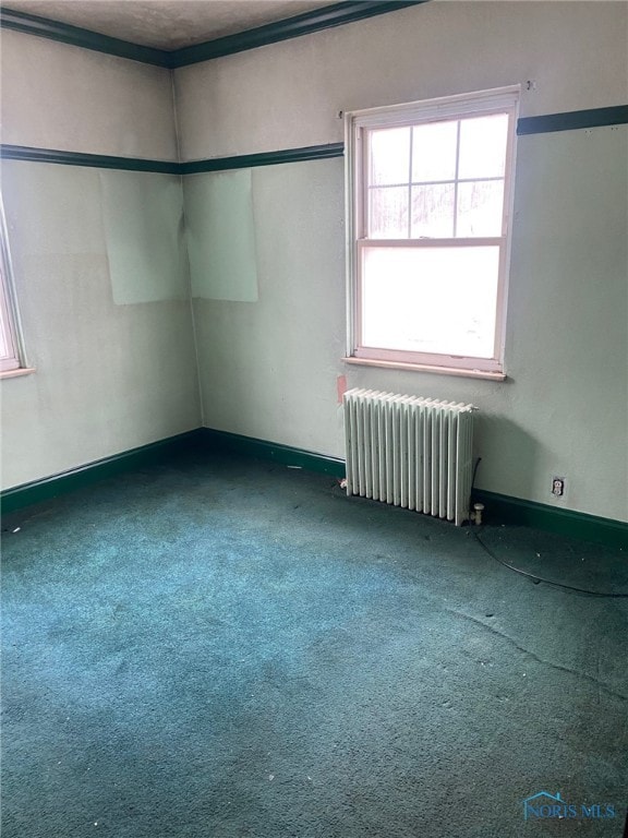 spare room with radiator heating unit and carpet