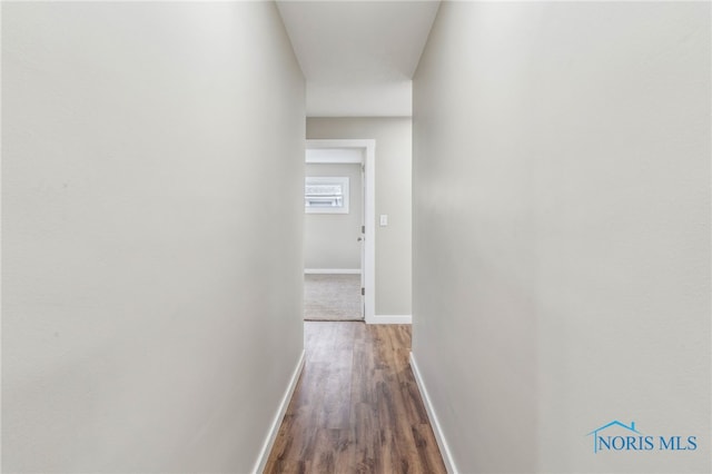 corridor featuring wood-type flooring