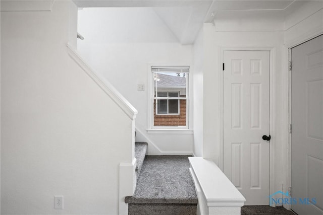 stairway with carpet floors