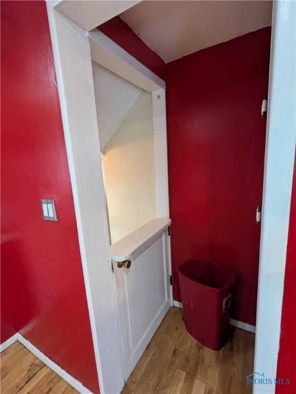 bathroom featuring hardwood / wood-style flooring