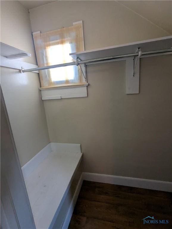 spacious closet featuring dark wood-type flooring