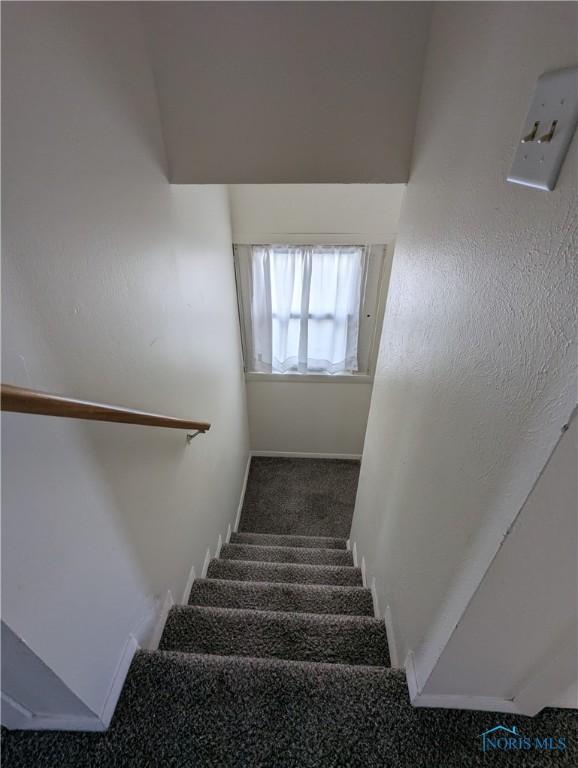 stairs featuring carpet