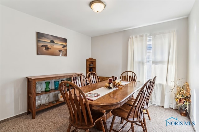 dining room featuring carpet