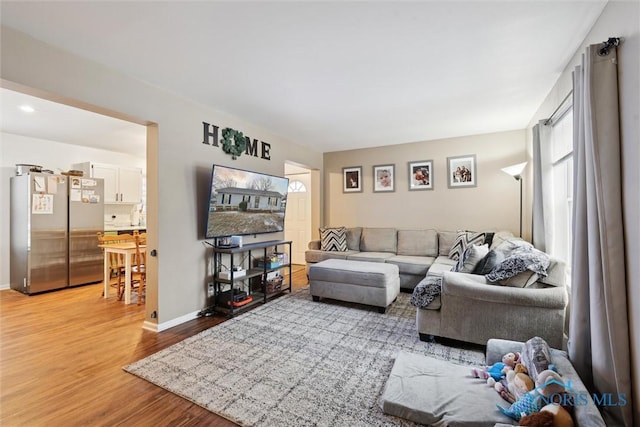 living room with wood-type flooring