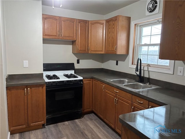 kitchen with hardwood / wood-style flooring, sink, and range with gas stovetop