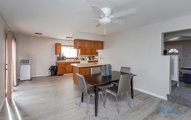 dining area with ceiling fan and light hardwood / wood-style flooring