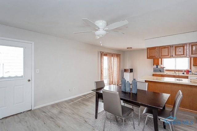 dining space featuring ceiling fan and light hardwood / wood-style flooring