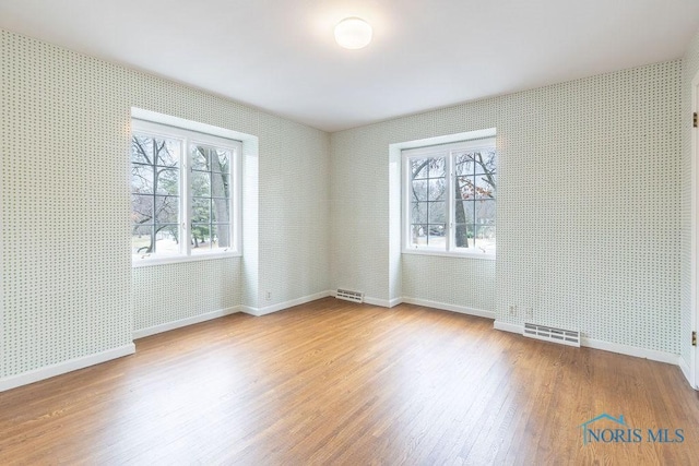 spare room featuring plenty of natural light and wood-type flooring