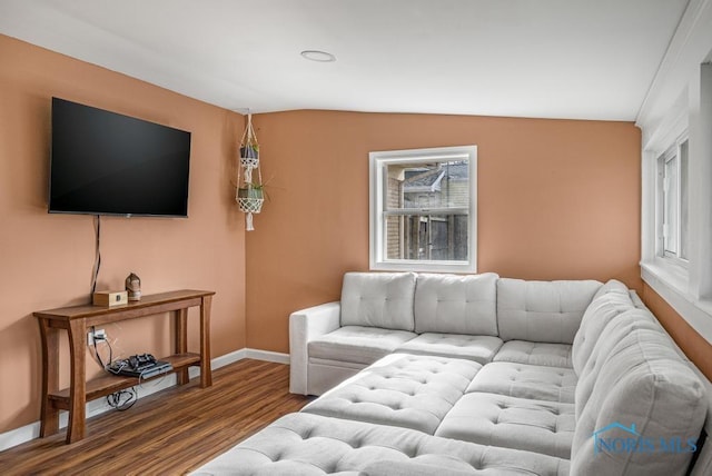 living room featuring hardwood / wood-style flooring