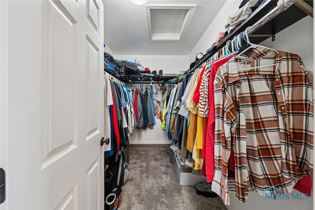 walk in closet with dark colored carpet