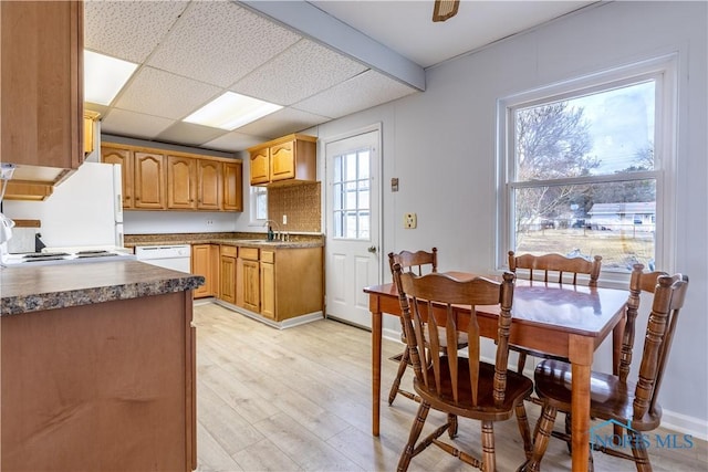 kitchen featuring a paneled ceiling, light wood-style flooring, white appliances, a sink, and dark countertops