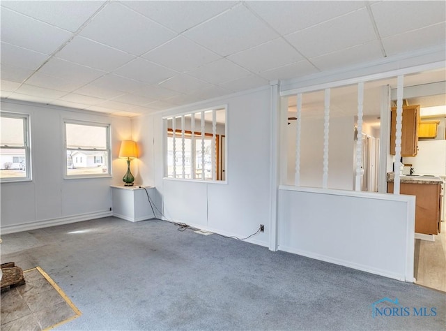 unfurnished room featuring a drop ceiling and carpet flooring