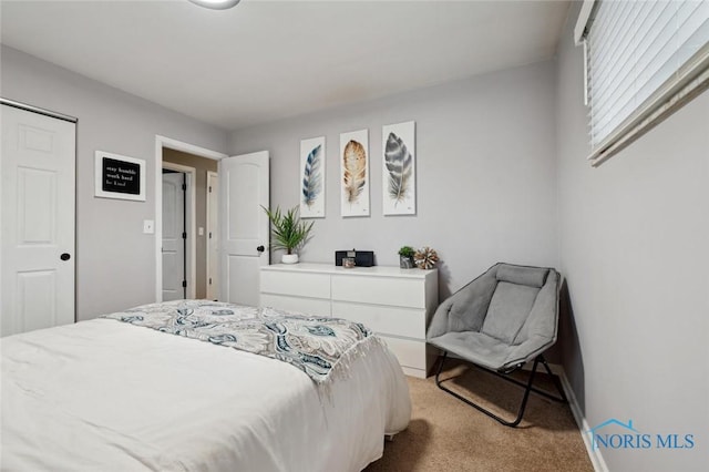 bedroom featuring light colored carpet